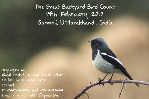 Invitation to the Great Back Yard Bird Count in Sarmoli, 19th February 2017